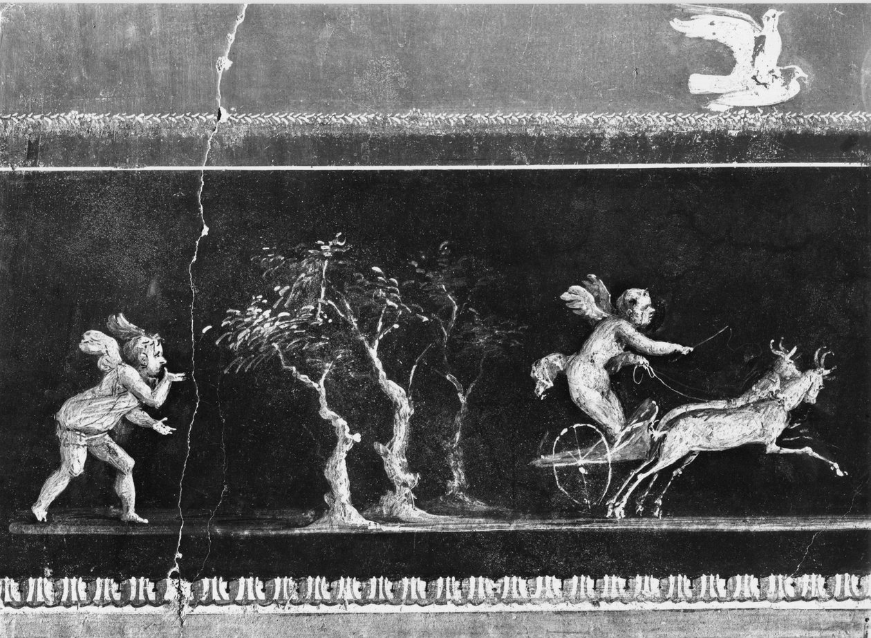 Querubins na corrida de bigas, friso do Oecus da Casa dei Vettii (casa dos Vettii) c.50-79 dC (ver também 215431) de Roman