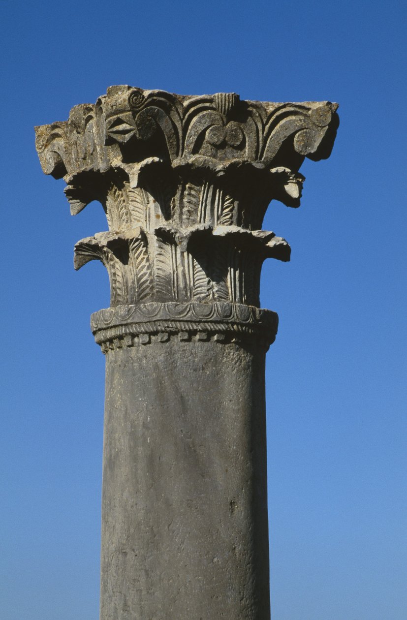 Capital de estilo coríntio de Roman