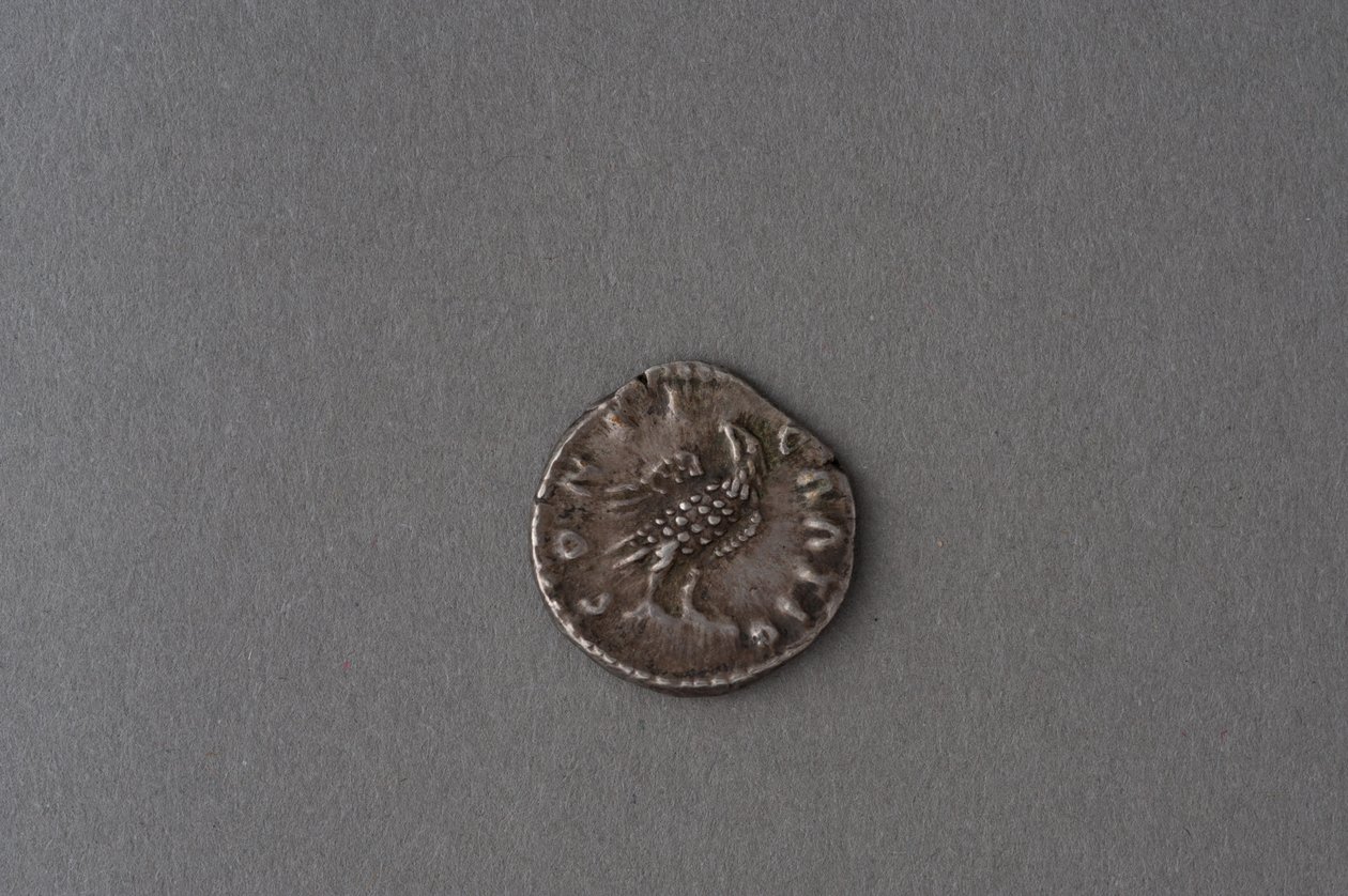 Como de Adriano (Silver) de Roman
