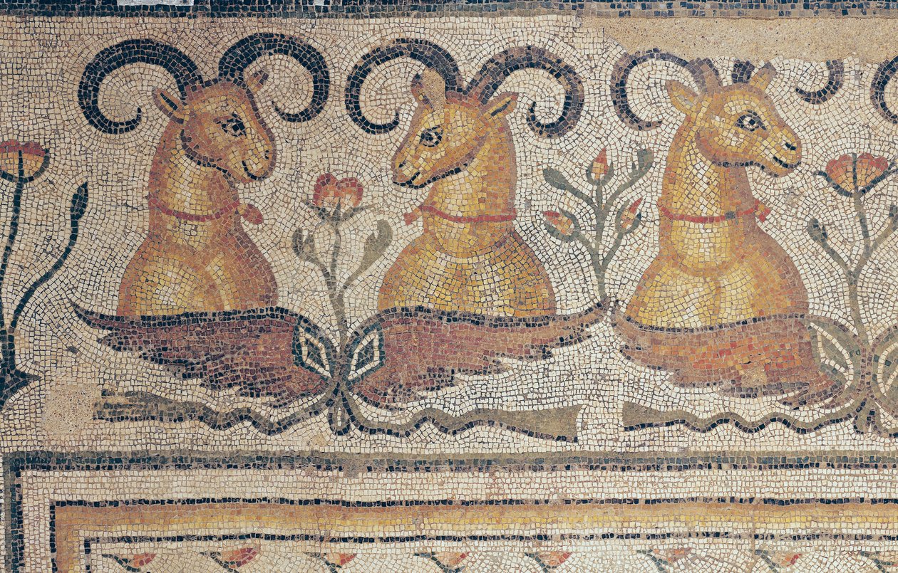Detalhe da borda de um pavimento, a partir do pátio de uma villa em Daphne, Antioquia (mosaico) de Roman