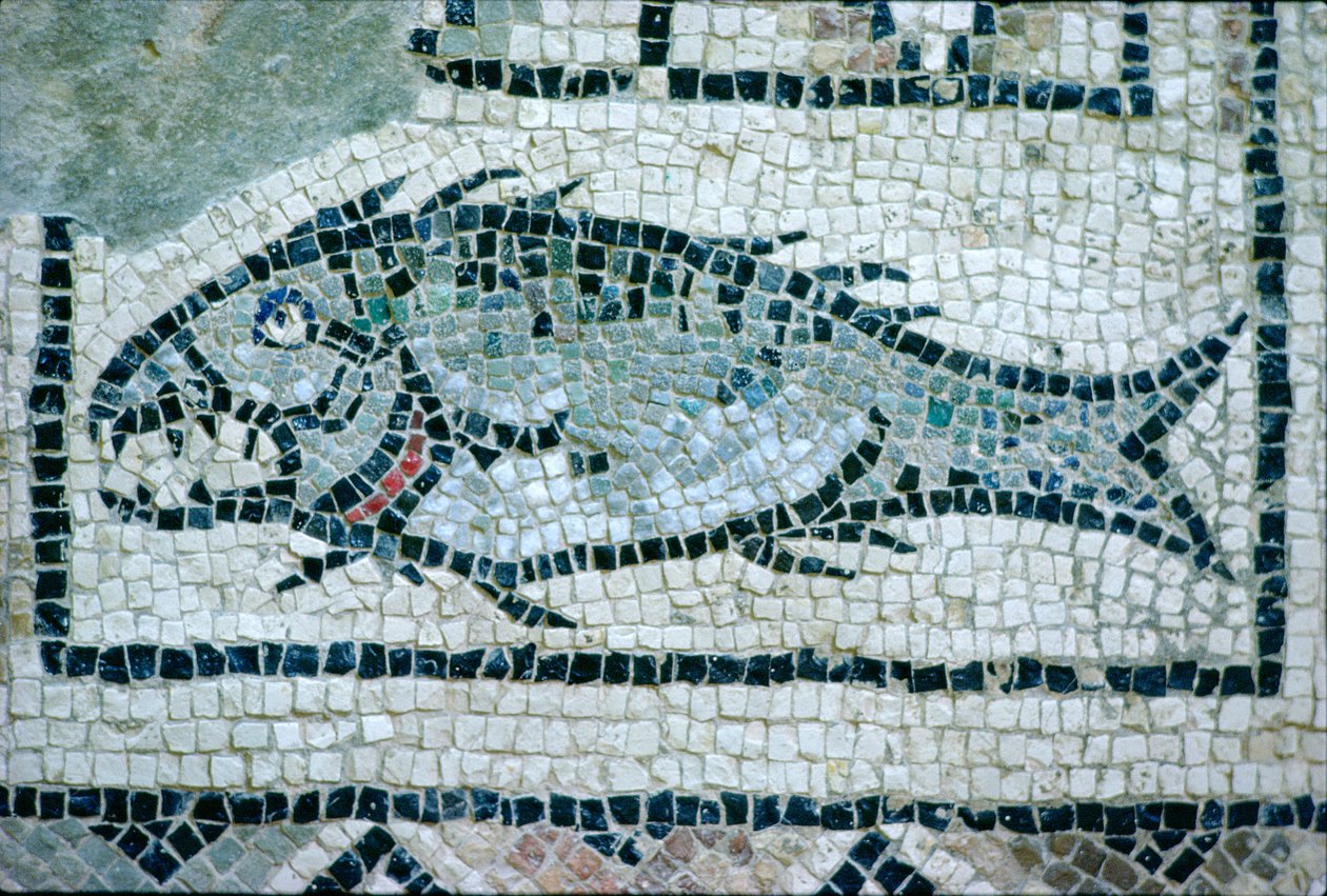 Peixe em um piso romano (mosaico) de Roman