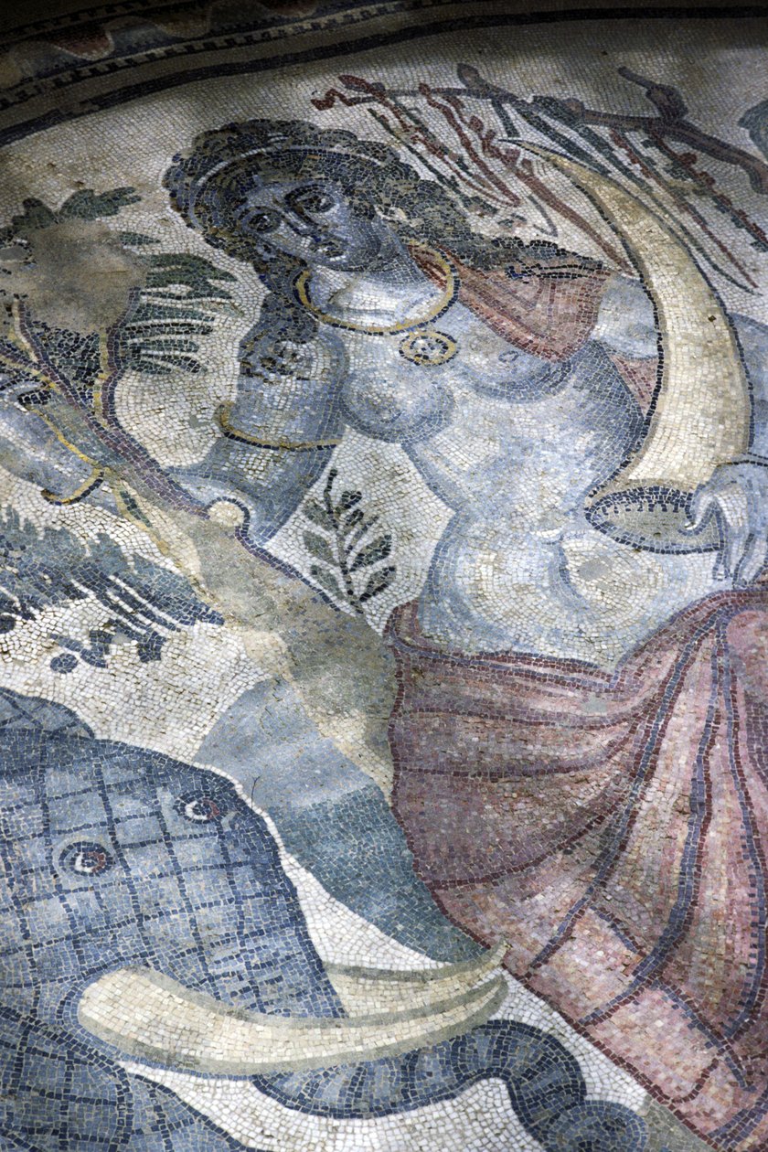 Detalhe do piso mostrando um elefante e nu feminino de Roman