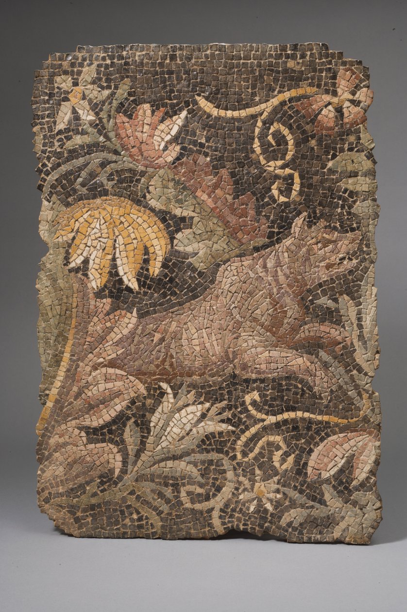 Fragmento de um mosaico representando um lobo (mosaico) de Roman
