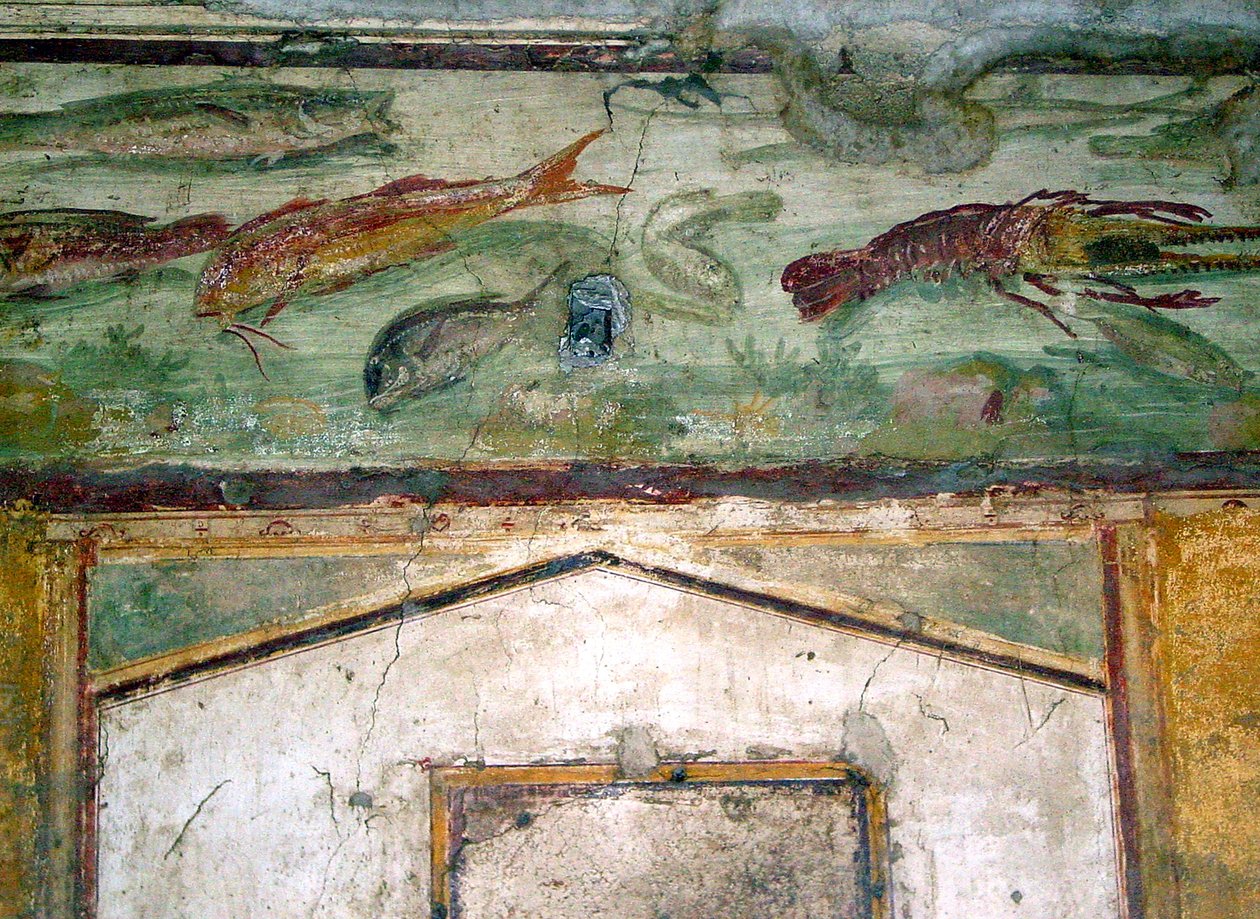 Friso retratando peixes (pintura de parede) de Roman