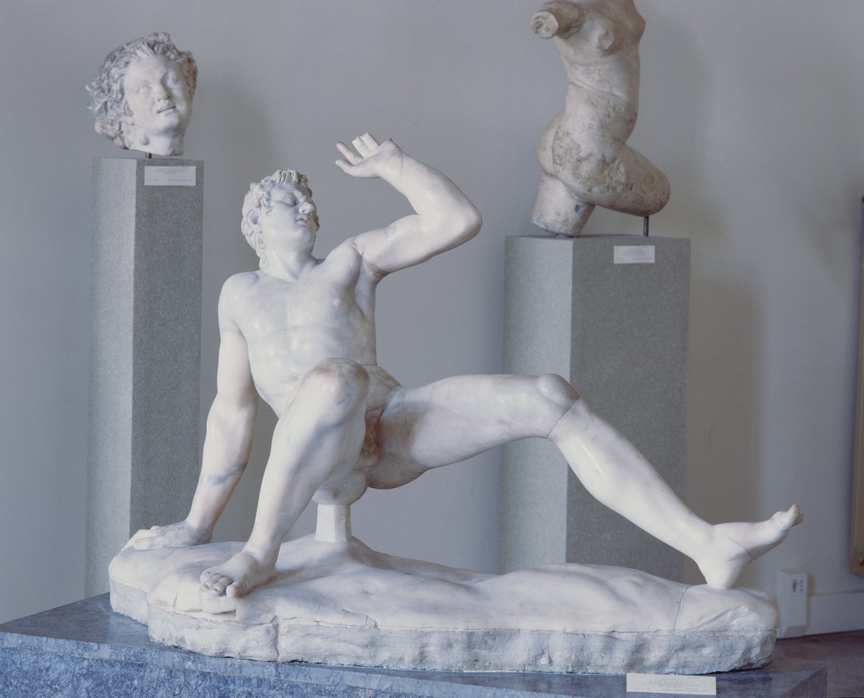 Gallo Cadente (mármore) de Roman