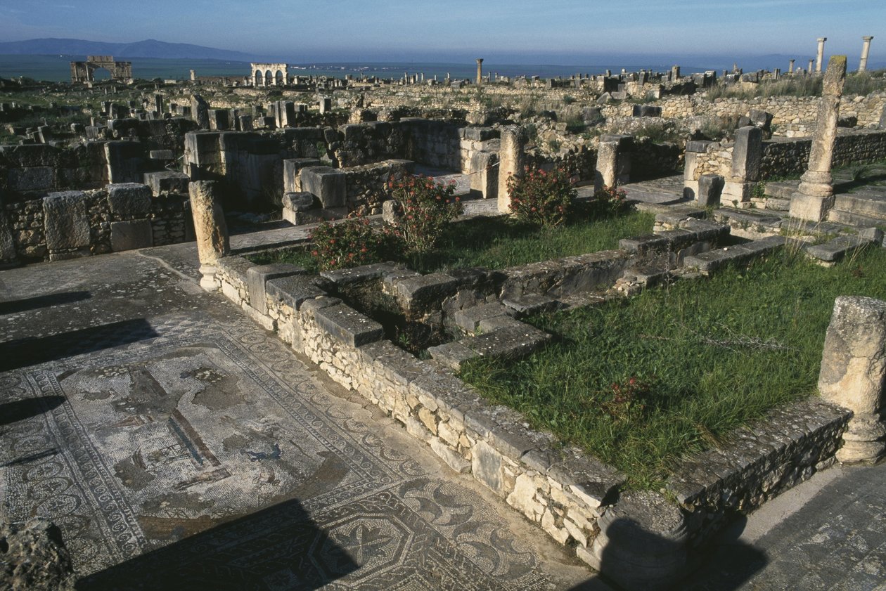Visão geral de Roman