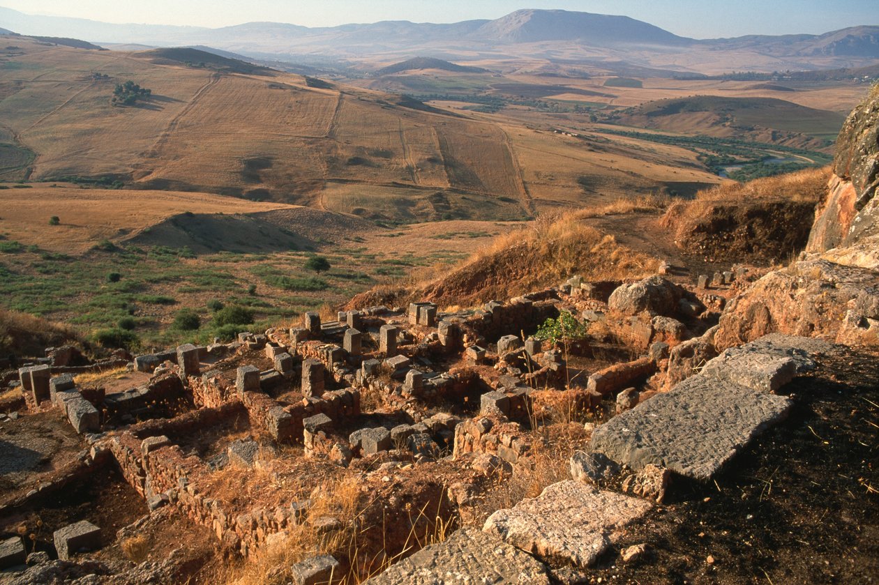 Visão geral do site de Roman
