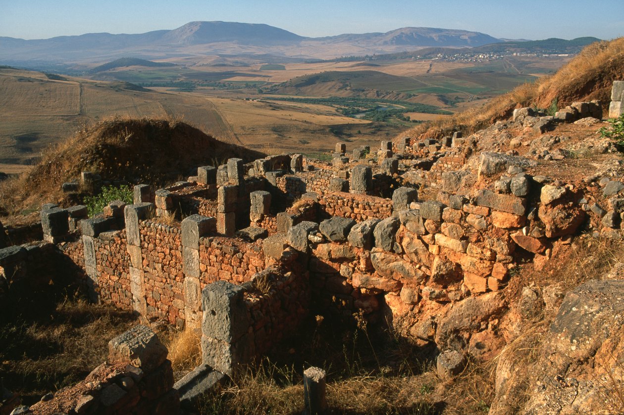 Visão geral do site de Roman