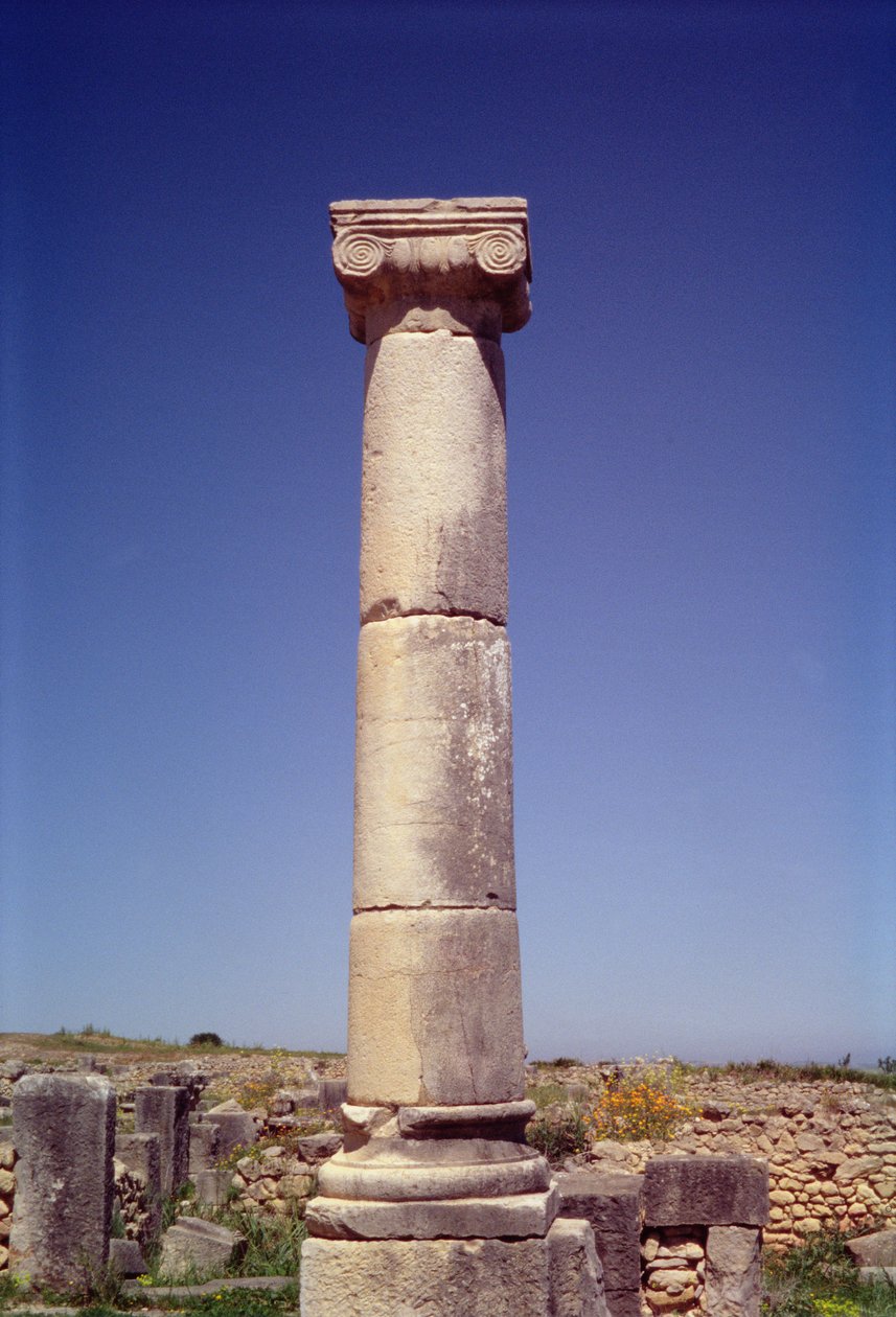 Coluna iônica no Decumanus Maximus de Roman