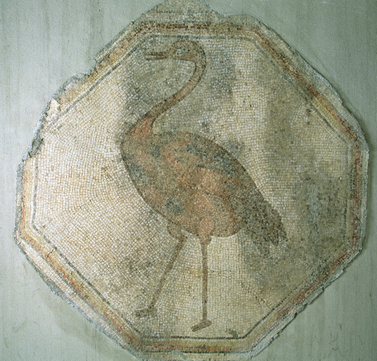 Mosaico representando um avestruz, de Salkim, Turquia de Roman