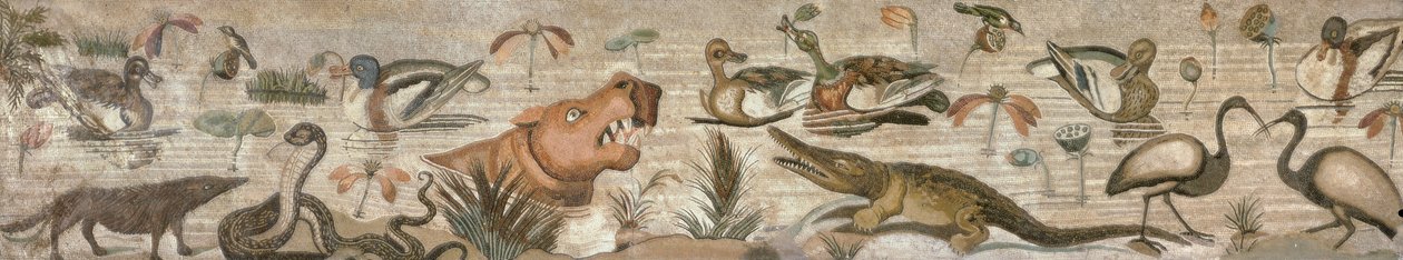 Cena do Nilo, da Casa do Fauno (Pompéia) (mosaico) de Roman