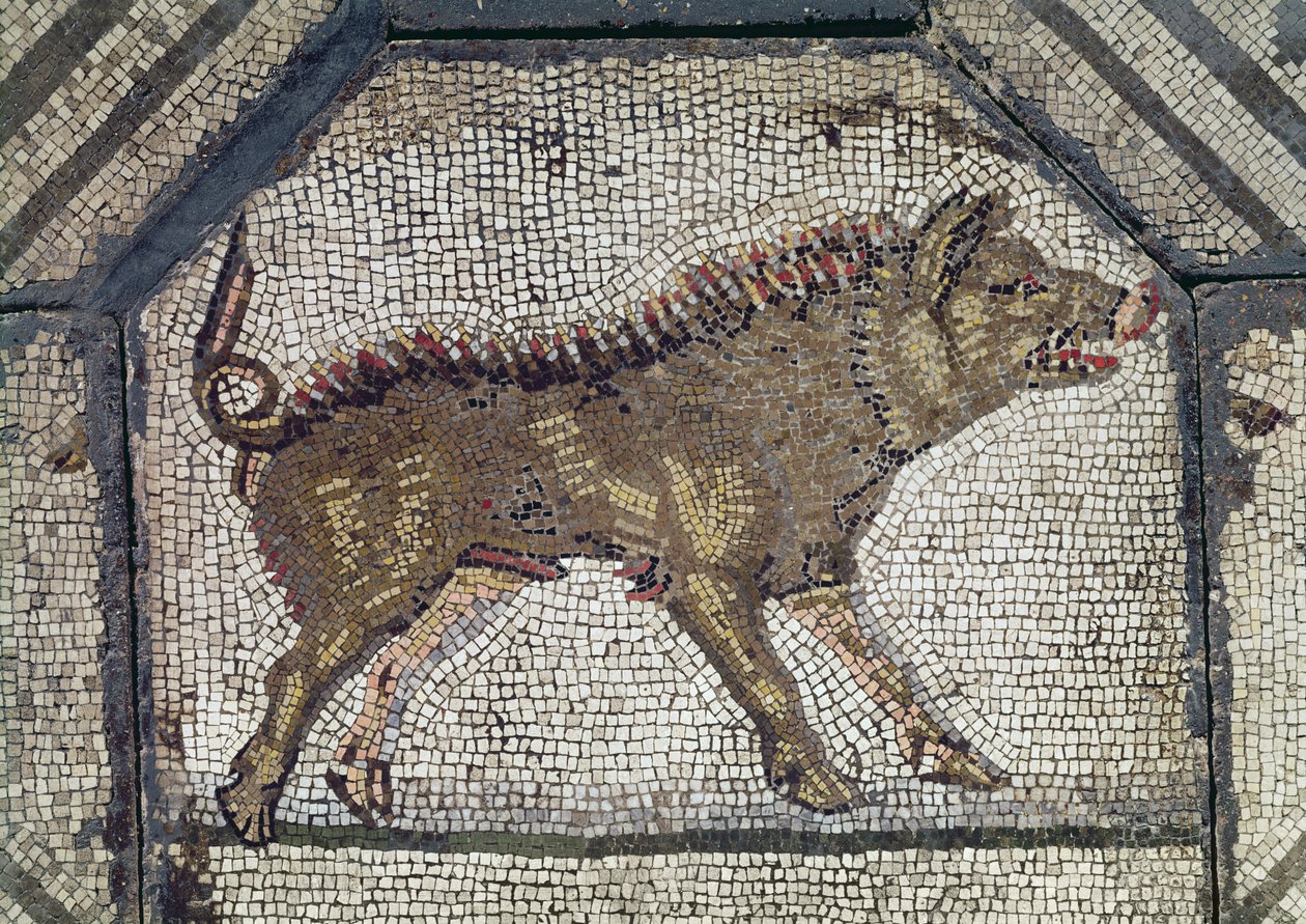 Orfeu encantando os animais, detalhe de um mosaico de javali de Roman