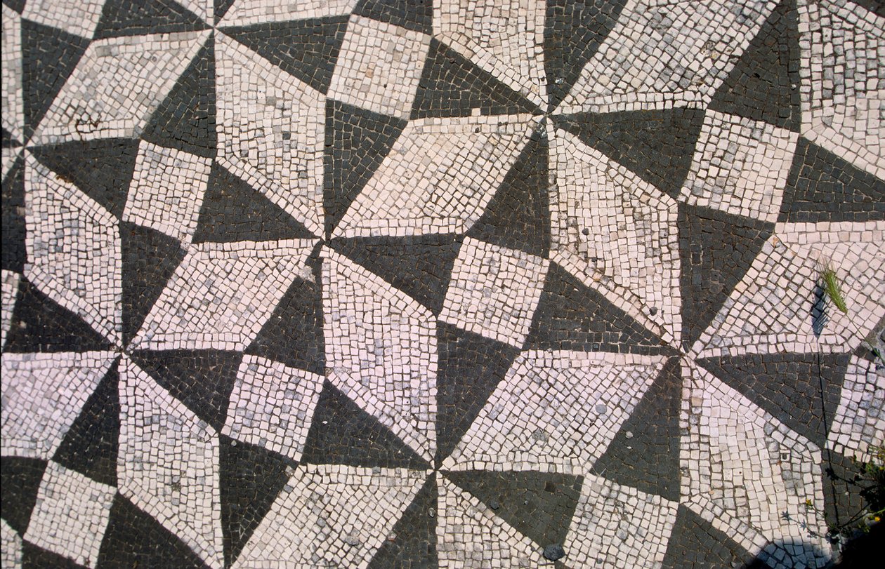 Revestimento padronizado (mosaico) de Roman