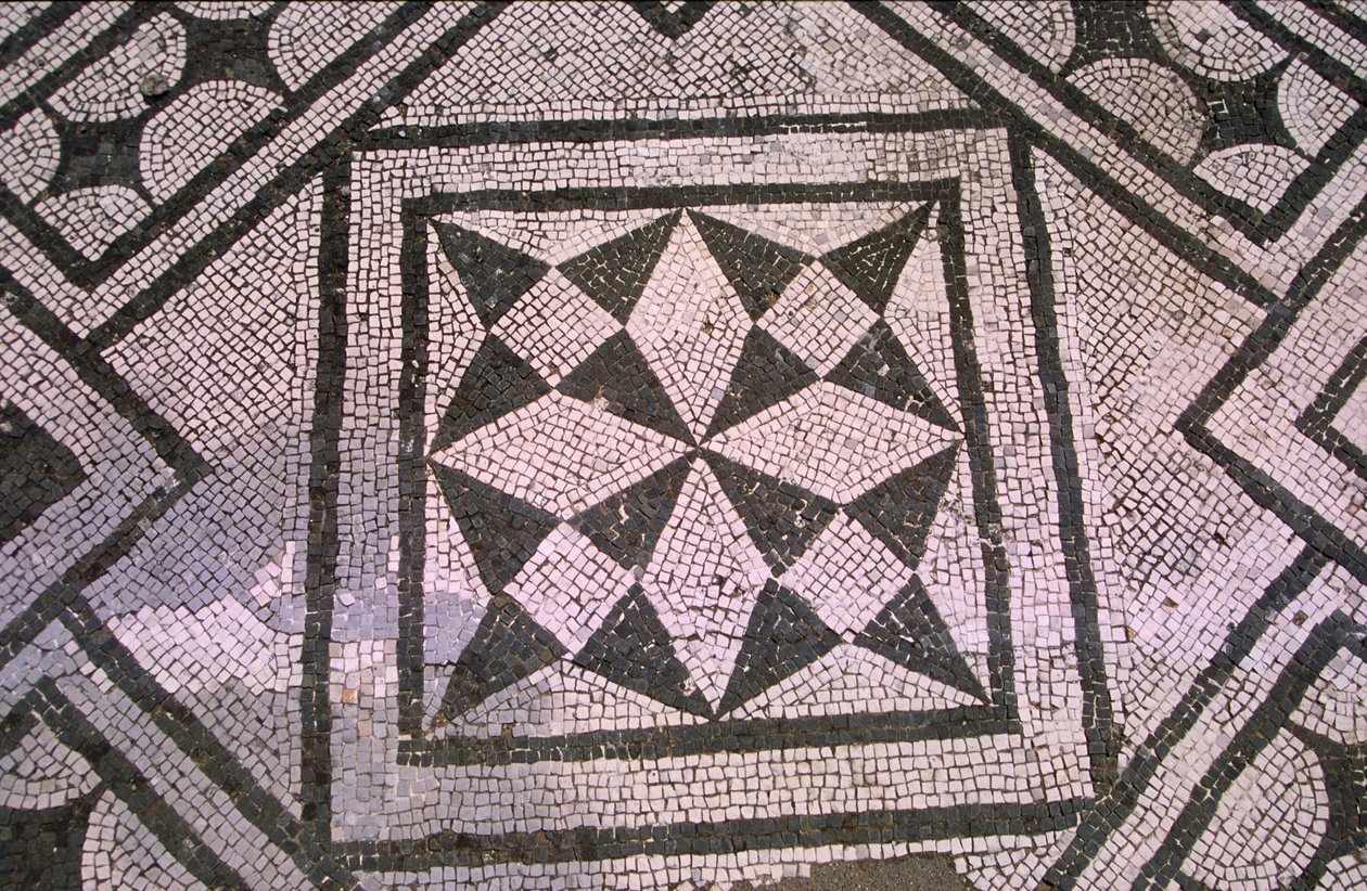Revestimento padronizado (mosaico) de Roman