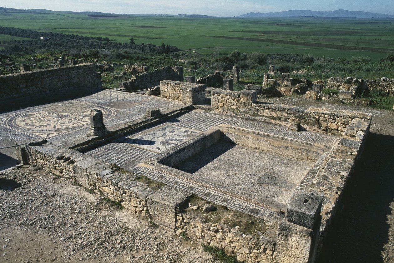Pavimento de uma casa patrícia de Roman
