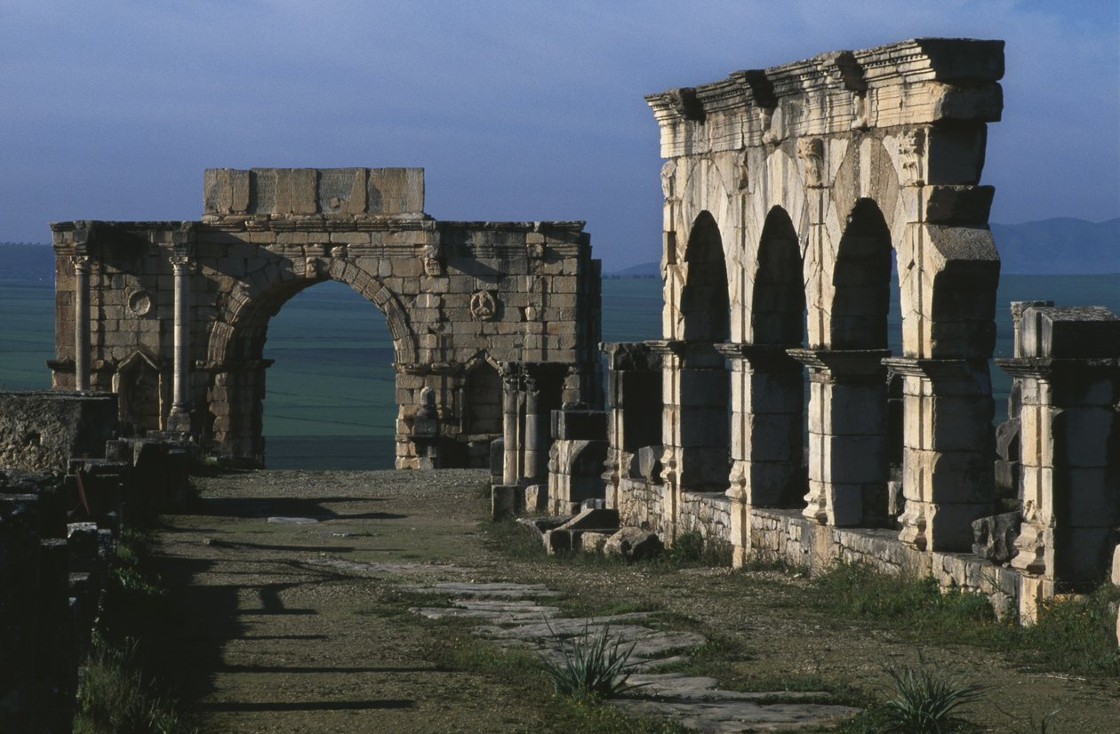 Pórtico no Decumanus Maximus e arco triunfal de Caracalla de Roman