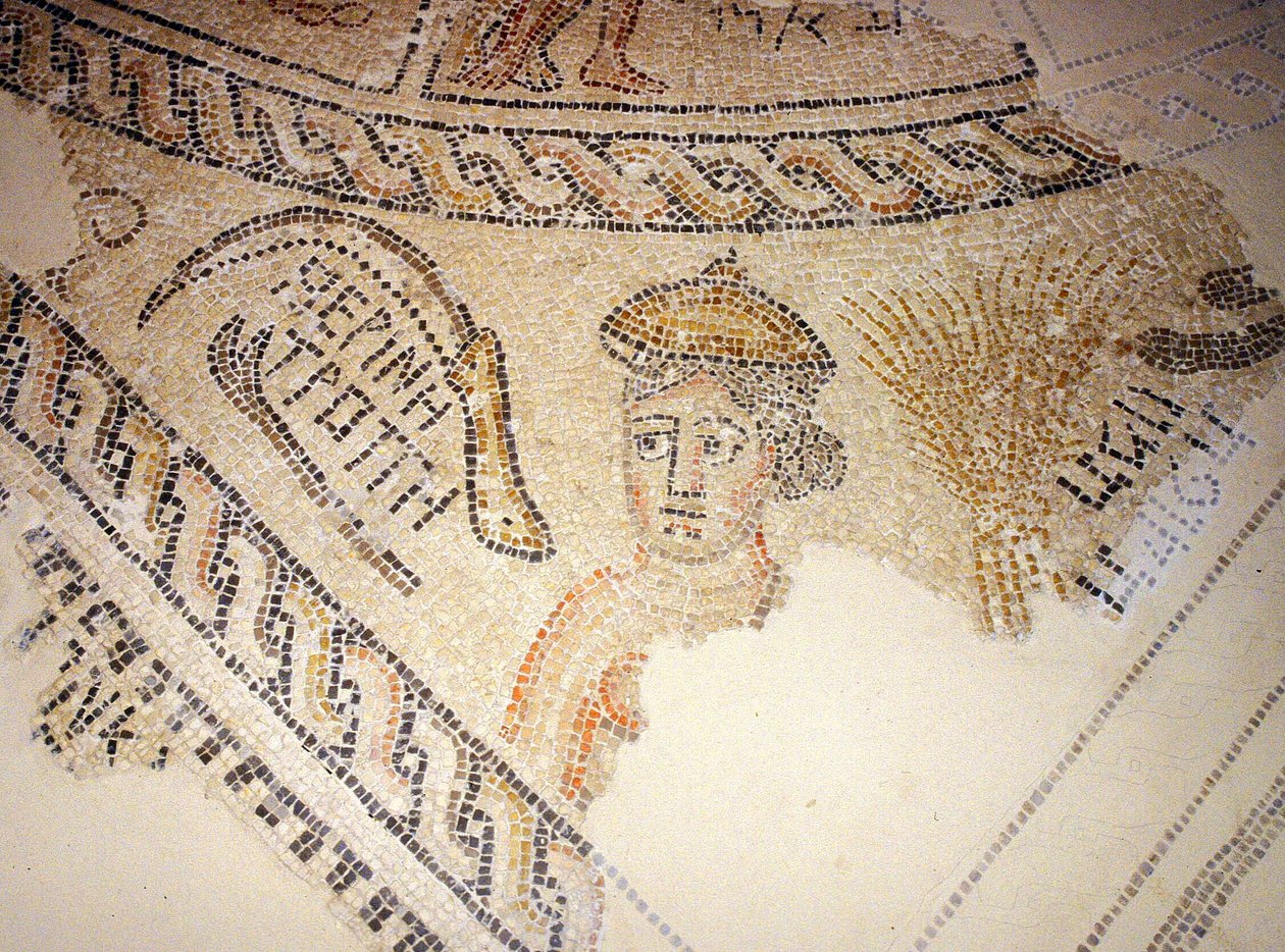 Mosaico de Séforis, Tzippori (mosaico) de Roman