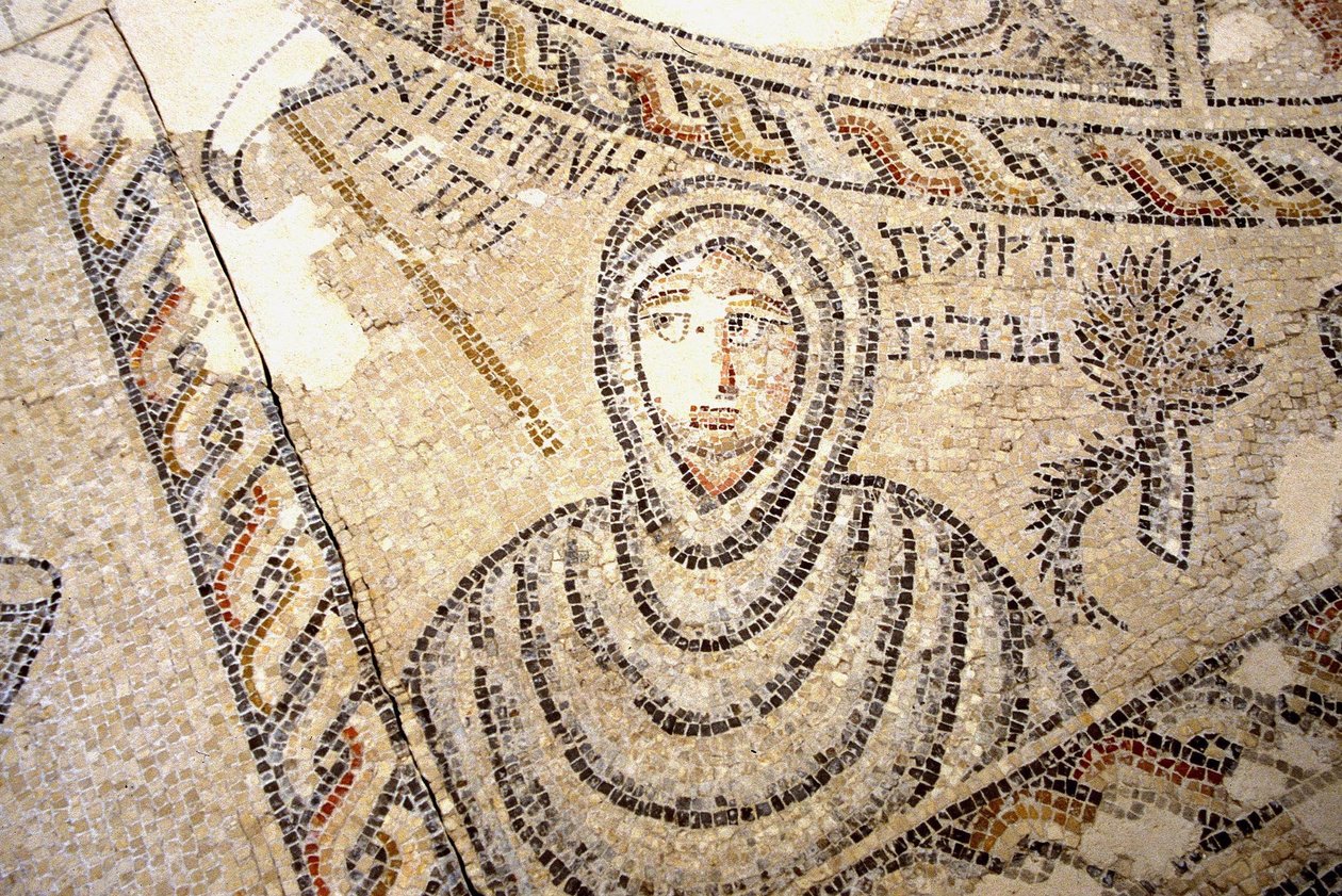Mosaico de Séforis, Tzippori (mosaico) de Roman