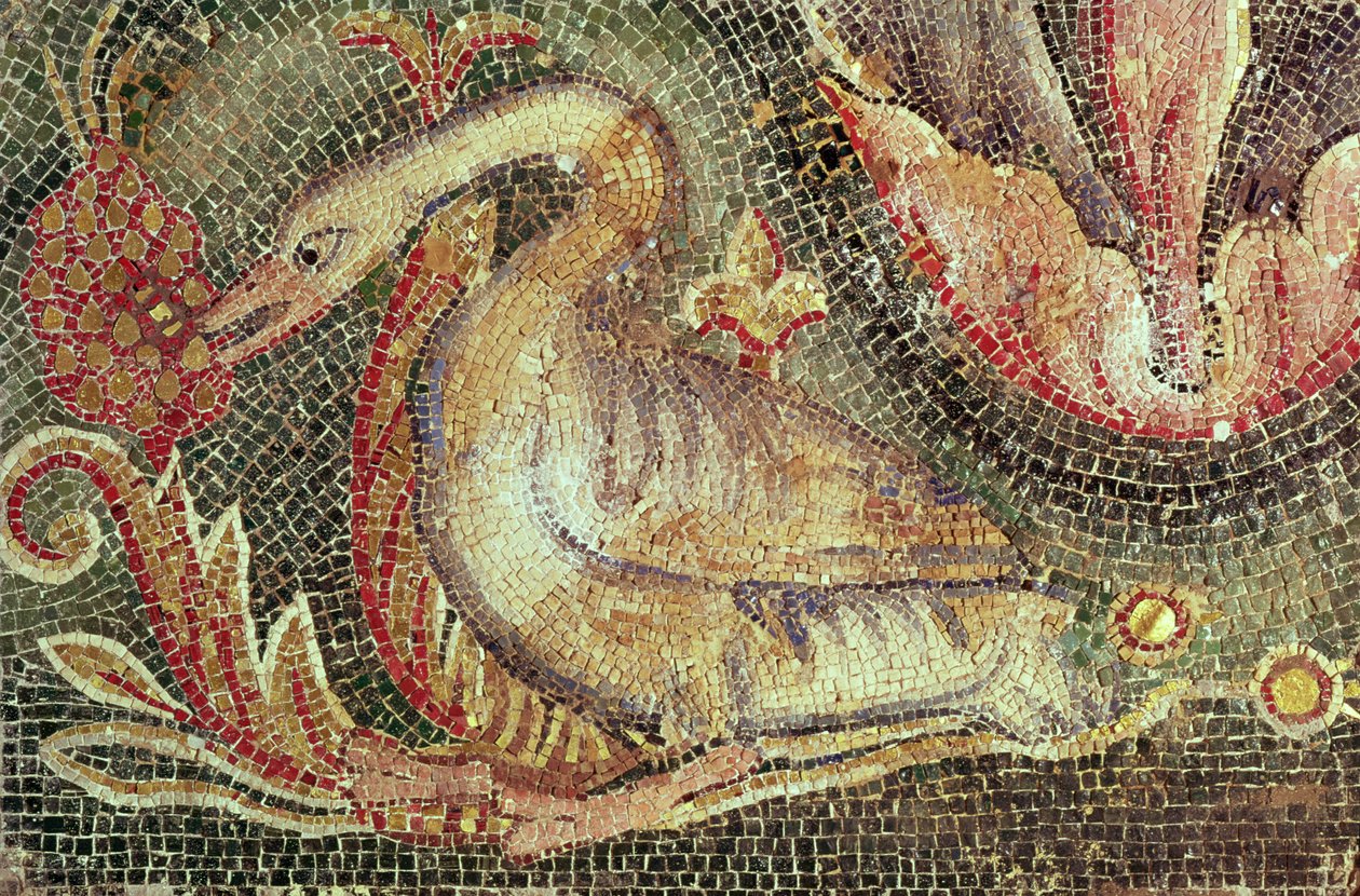 Cisne, restaurada c.1200 (mosaico) de Roman