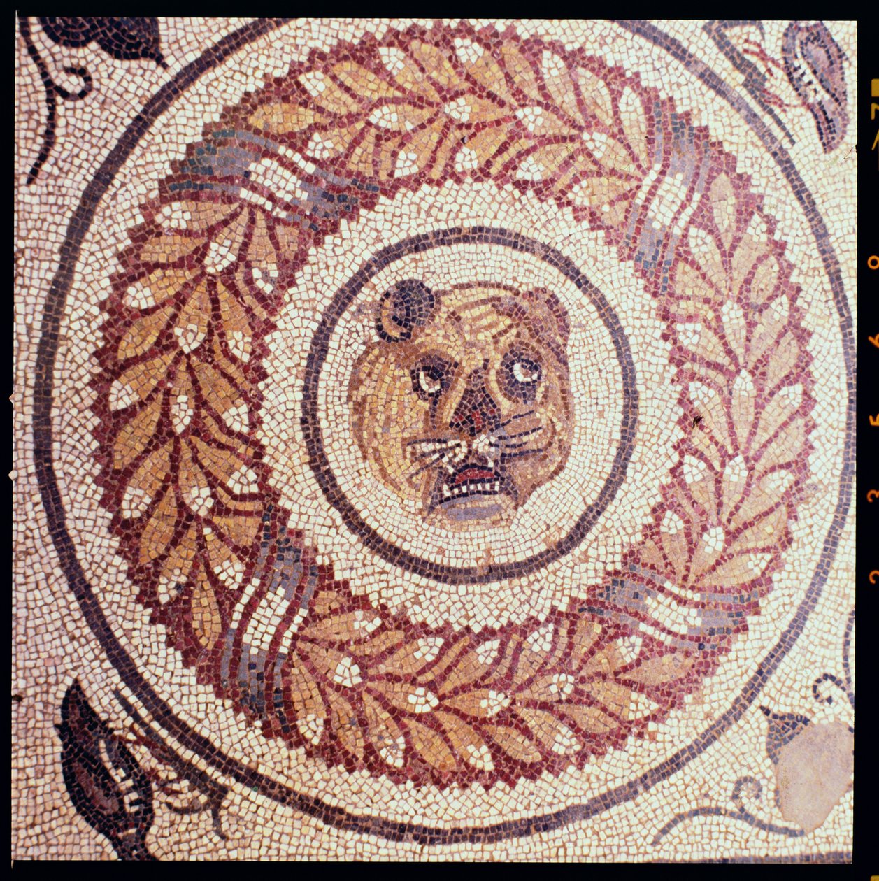 Cabeça de tigre, mosaico romano, início do século IV (mosaico) de Roman