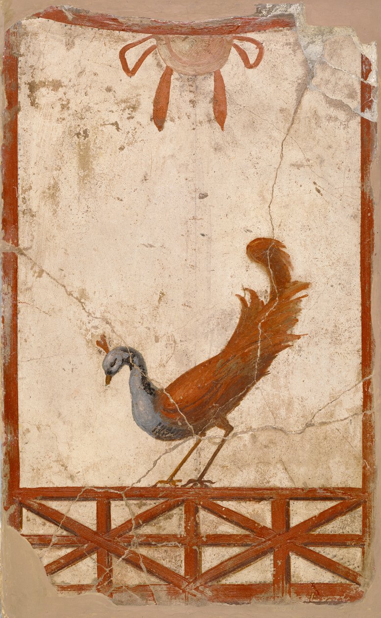 Fragmento de parede com pavão, primeiro século de Roman