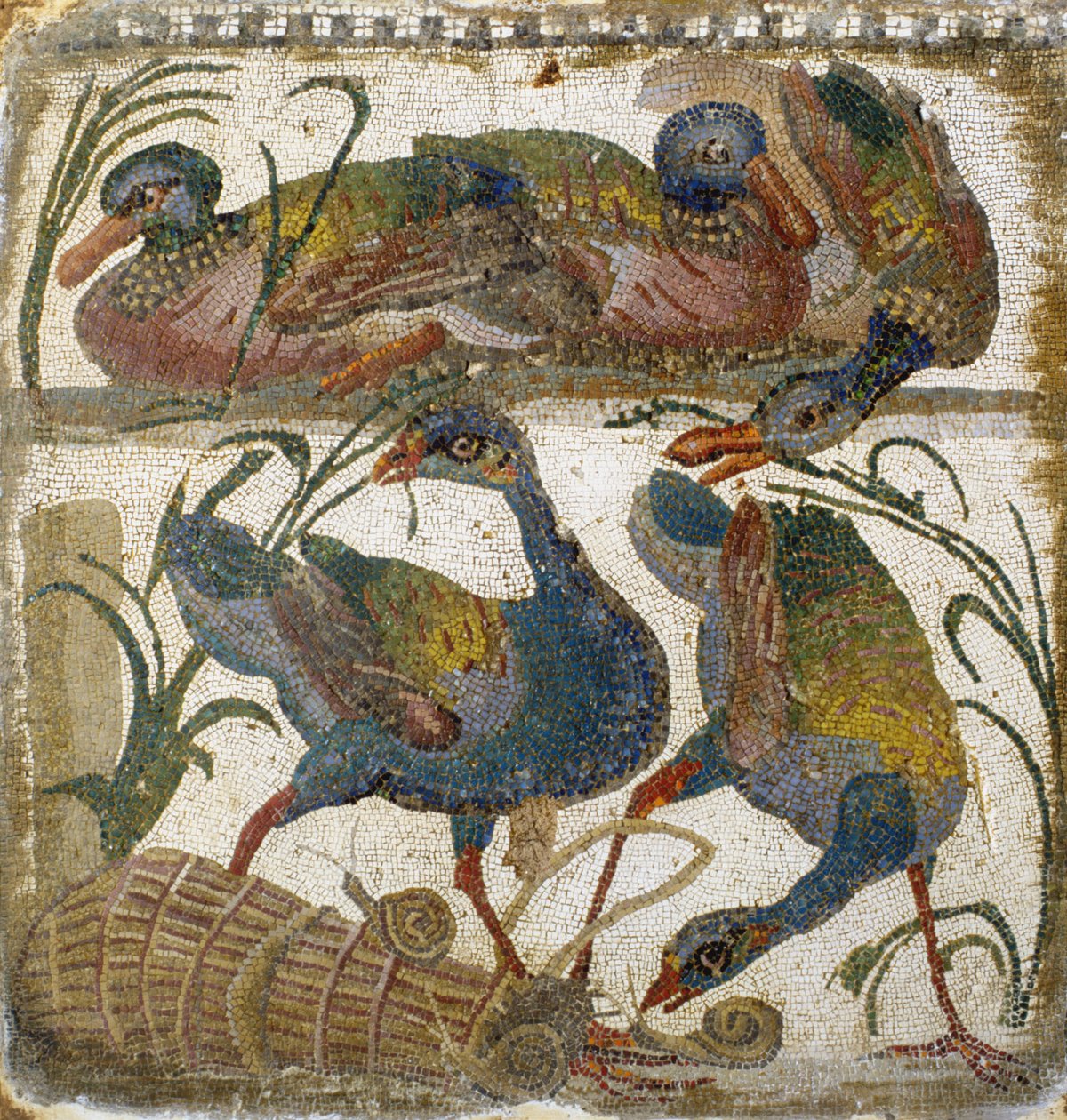 Aves aquáticas (mosaico) de Roman