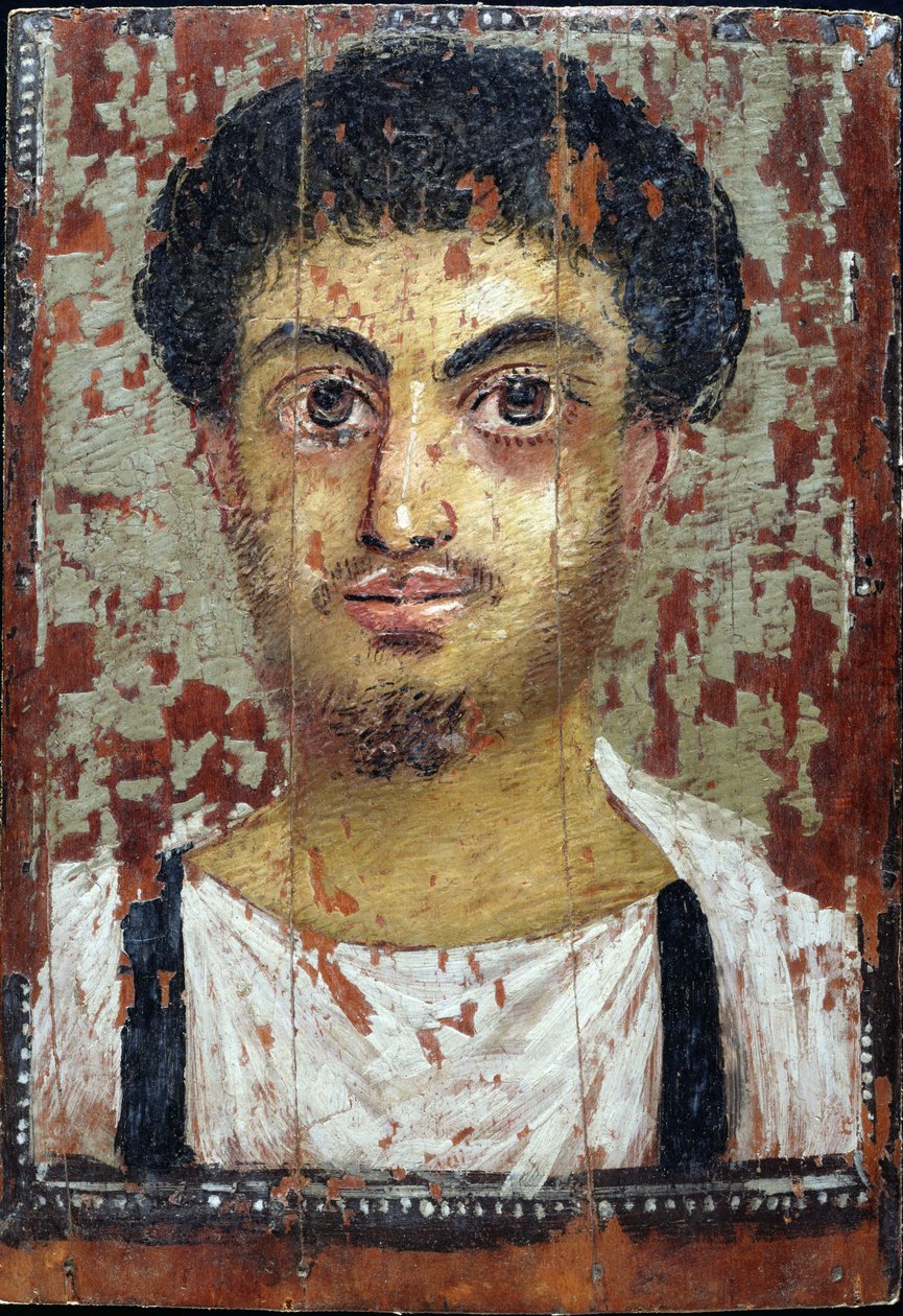 Múmia retrato de um jovem (encaustic no painel) de Roman Period Egyptian