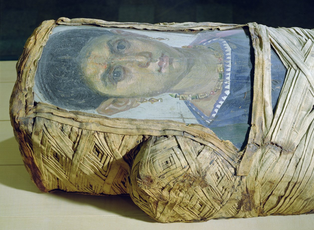 Retrato de múmia de Eudaimon, séc. II (cera encastrável em madeira e linho) de Roman Period Egyptian
