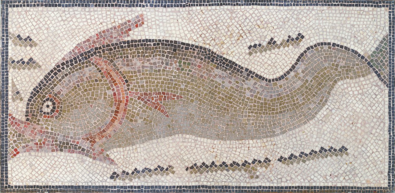 Golfinho, de Tunis, do 3º ao 5º século dC (mosaico) de Roman Roman