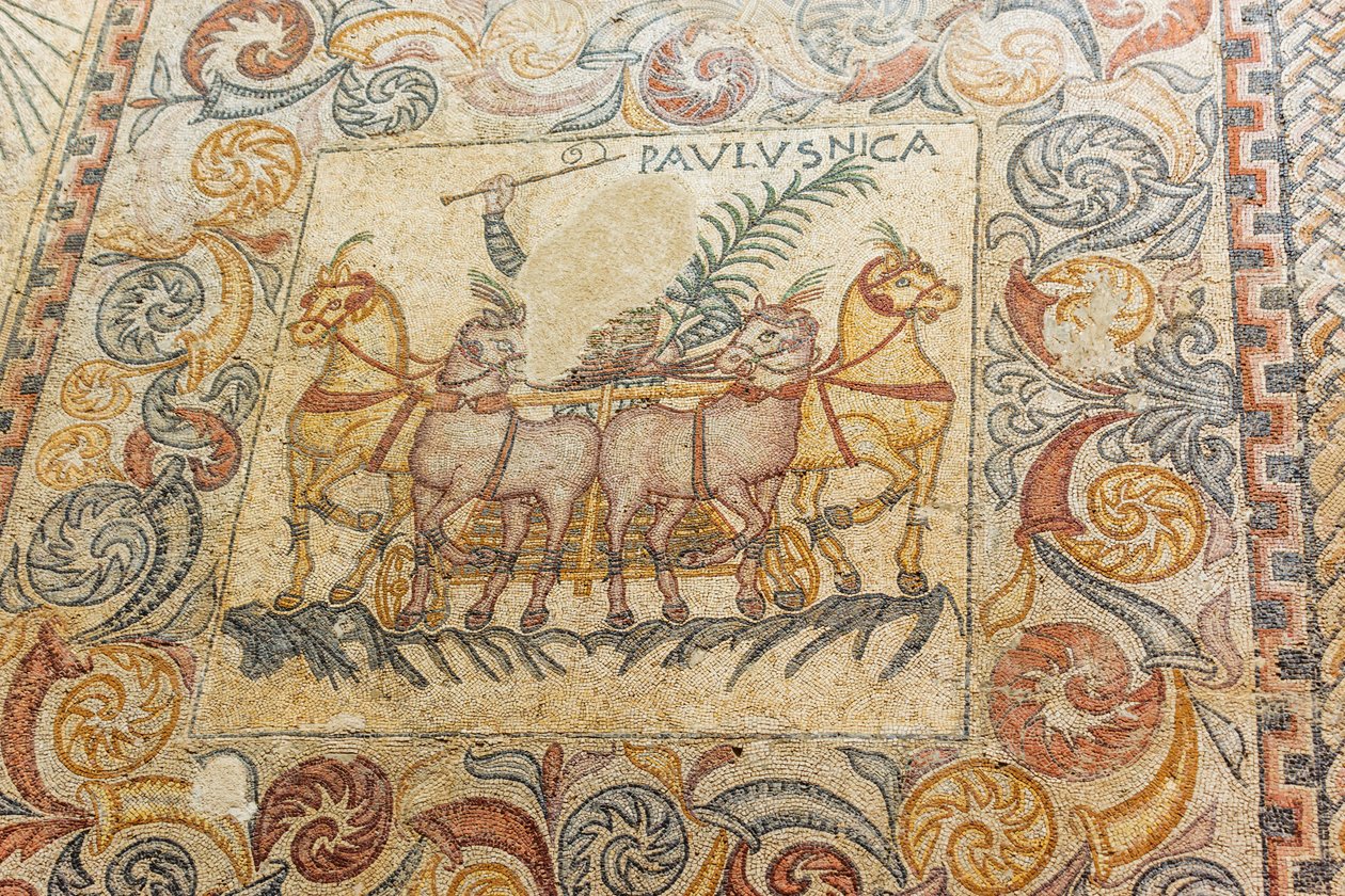 Mosaicos representando o cocheiro dirigindo quatro cavalos de Roman Roman