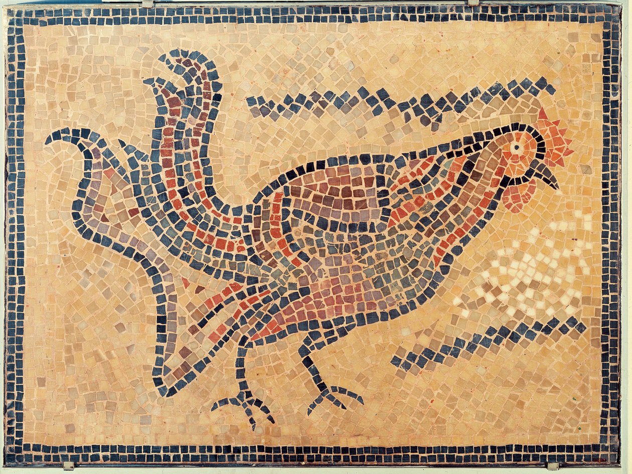 Galo, de Tunis, provavelmente no final do século 5 dC (mosaico) de Roman Roman