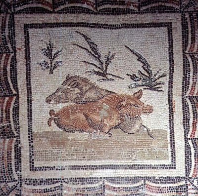 Javali (mosaico) de Roman Roman