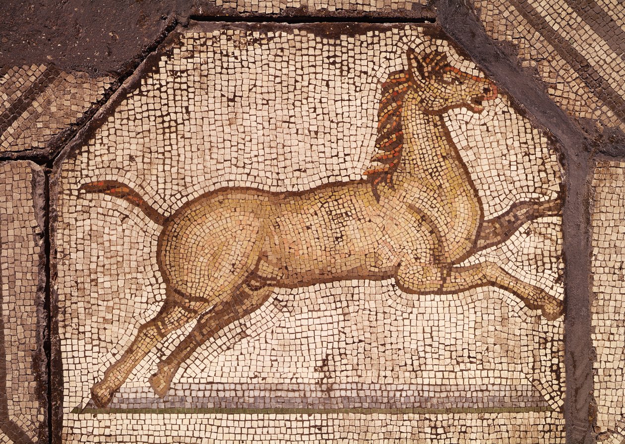 Um cavalo, detalhe de Orfeu Encantando os animais (mosaico) de Roman