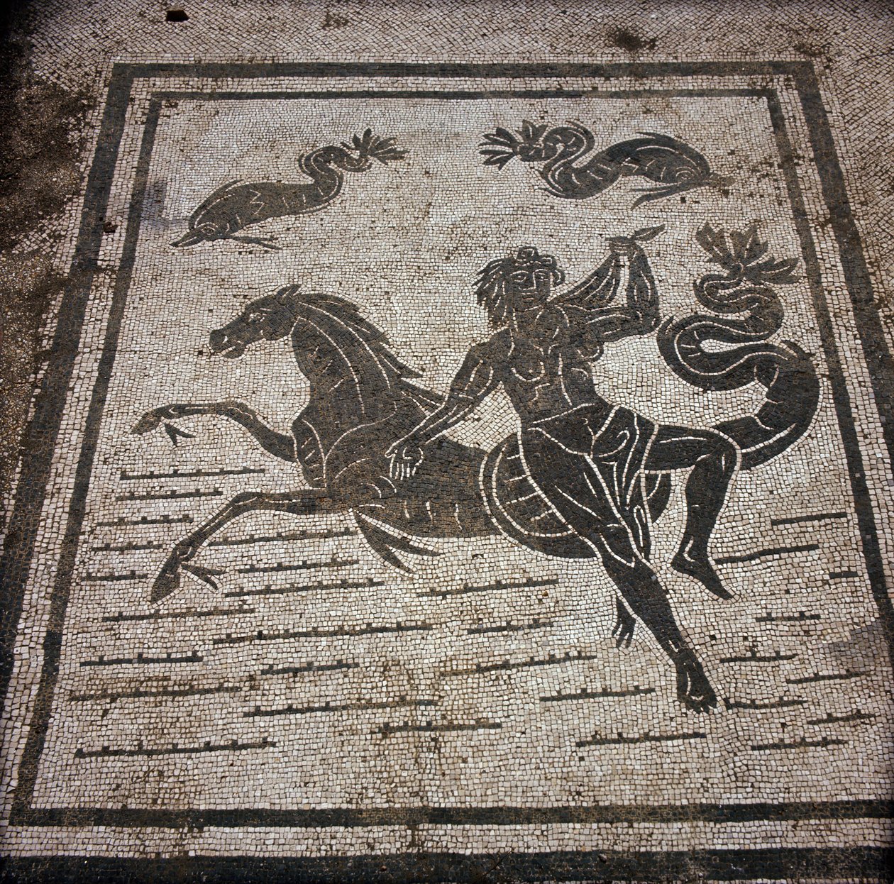 Ostia Antiga (Ostia). Place des Corporations. Mosaico da Sabratha Seafarers Corporation. Uma ninfa e um cavalo marinho. de Roman