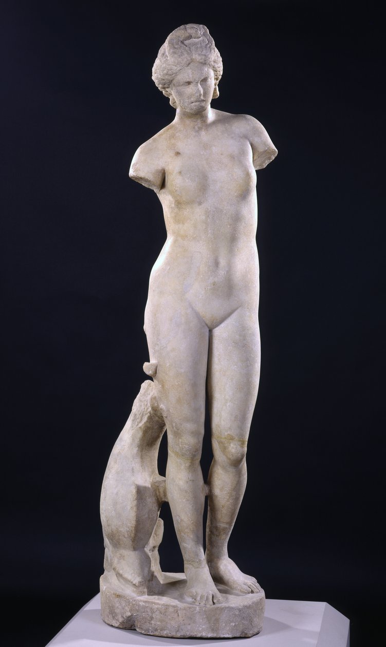 Afrodite de Cirene de Roman