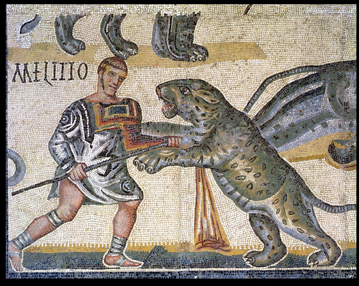 Batalha de gladiadores contra os gatos selvagens, detalhe representando um gladiador correndo através de um gato selvagem, 320 dC (mosaico) de Roman