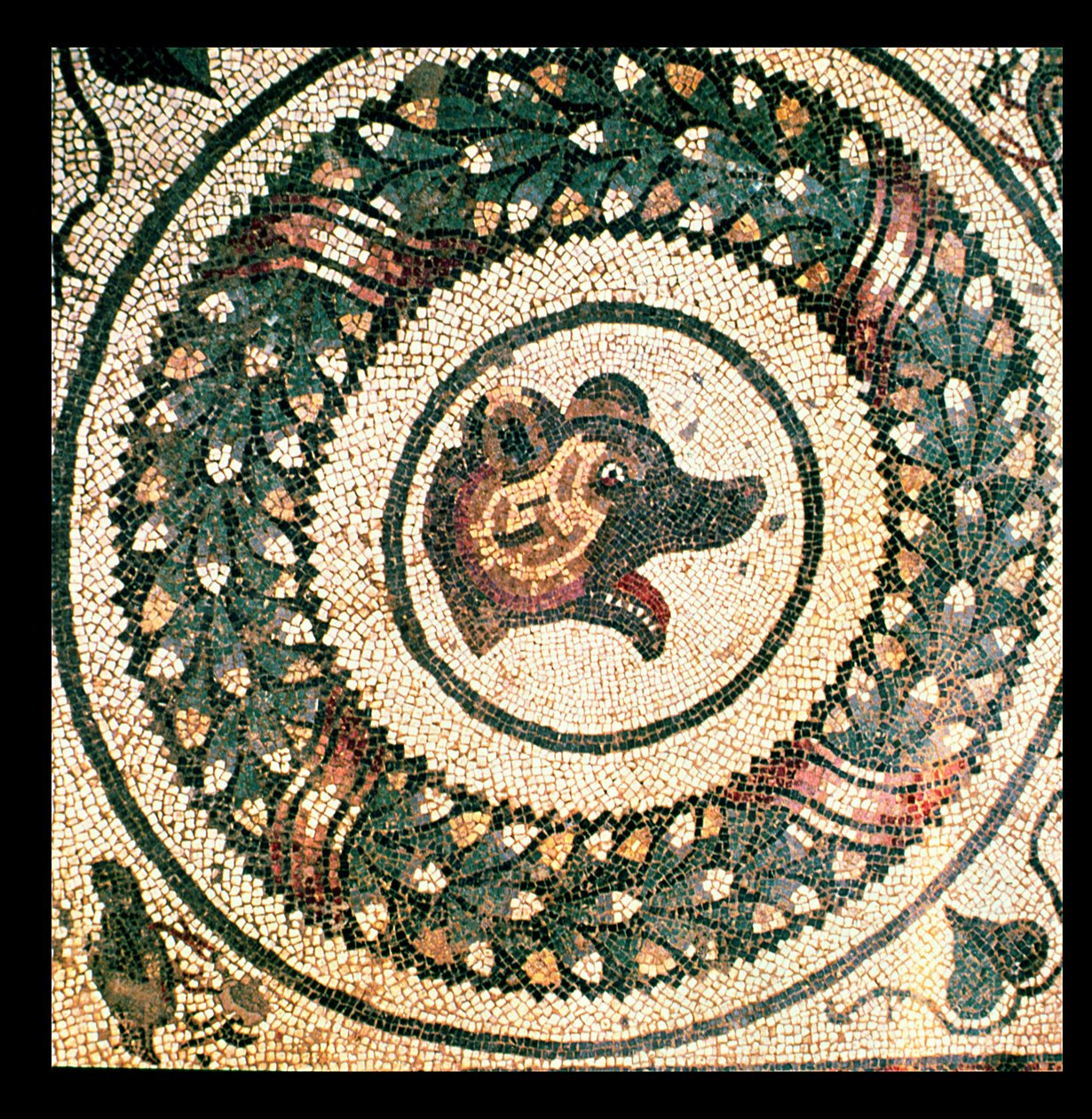 Cabeça de Urso, mosaico romano, início do século IV (mosaico) de Roman