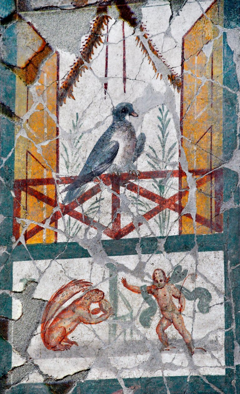 paisagem de Roman