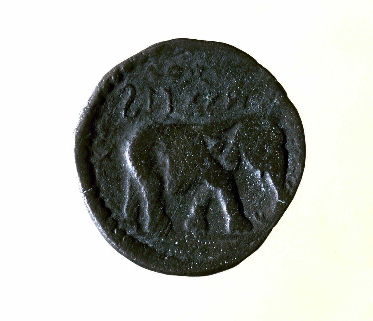 Uma moeda de Cartago representando um elefante. Século III ou II a.C. de Roman