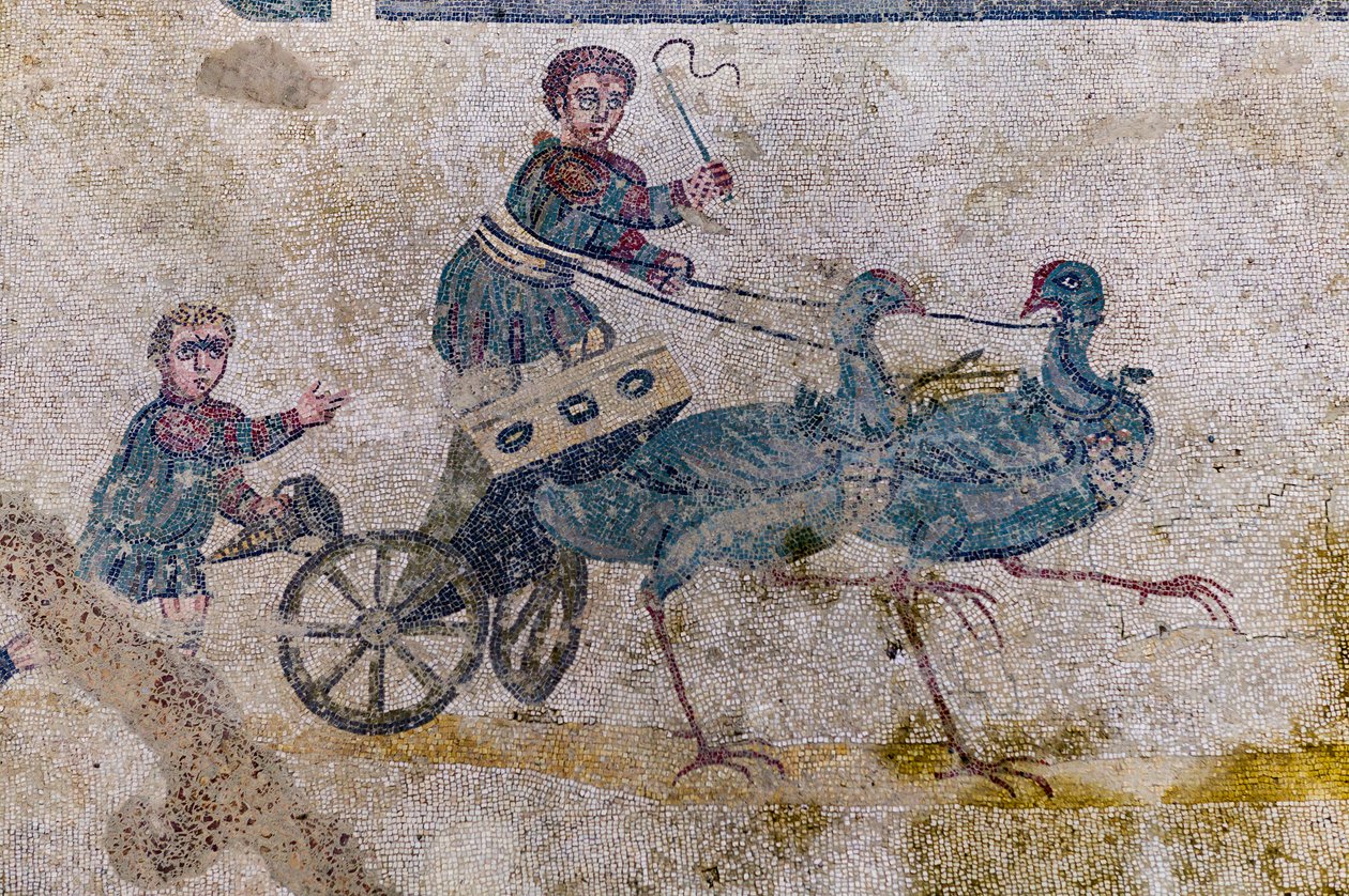 Corrida de carruagem com cartas puxadas por pássaros (mosaico) de Roman