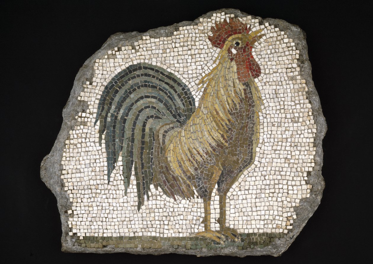 Cockerel (mosaico) de Roman