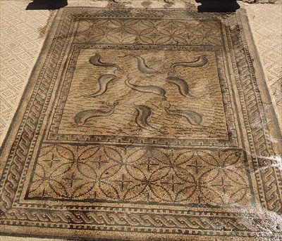 Golfinhos, mosaico romano da Casa de Orfeu, século III d.C. (mosaico) de Roman