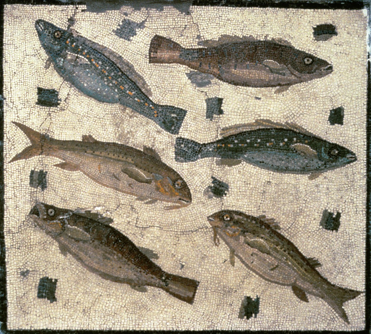 Peixe (mosaico) de Roman
