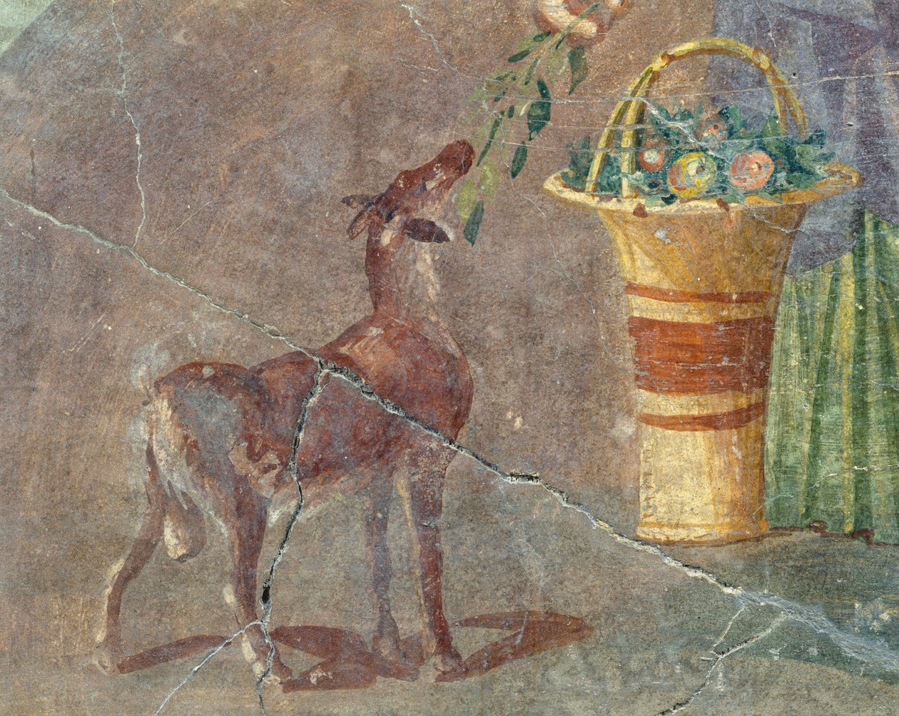 Cabra e cesta de frutas, afresco de Pompéia, Campania, Itália, civilização romana de Roman