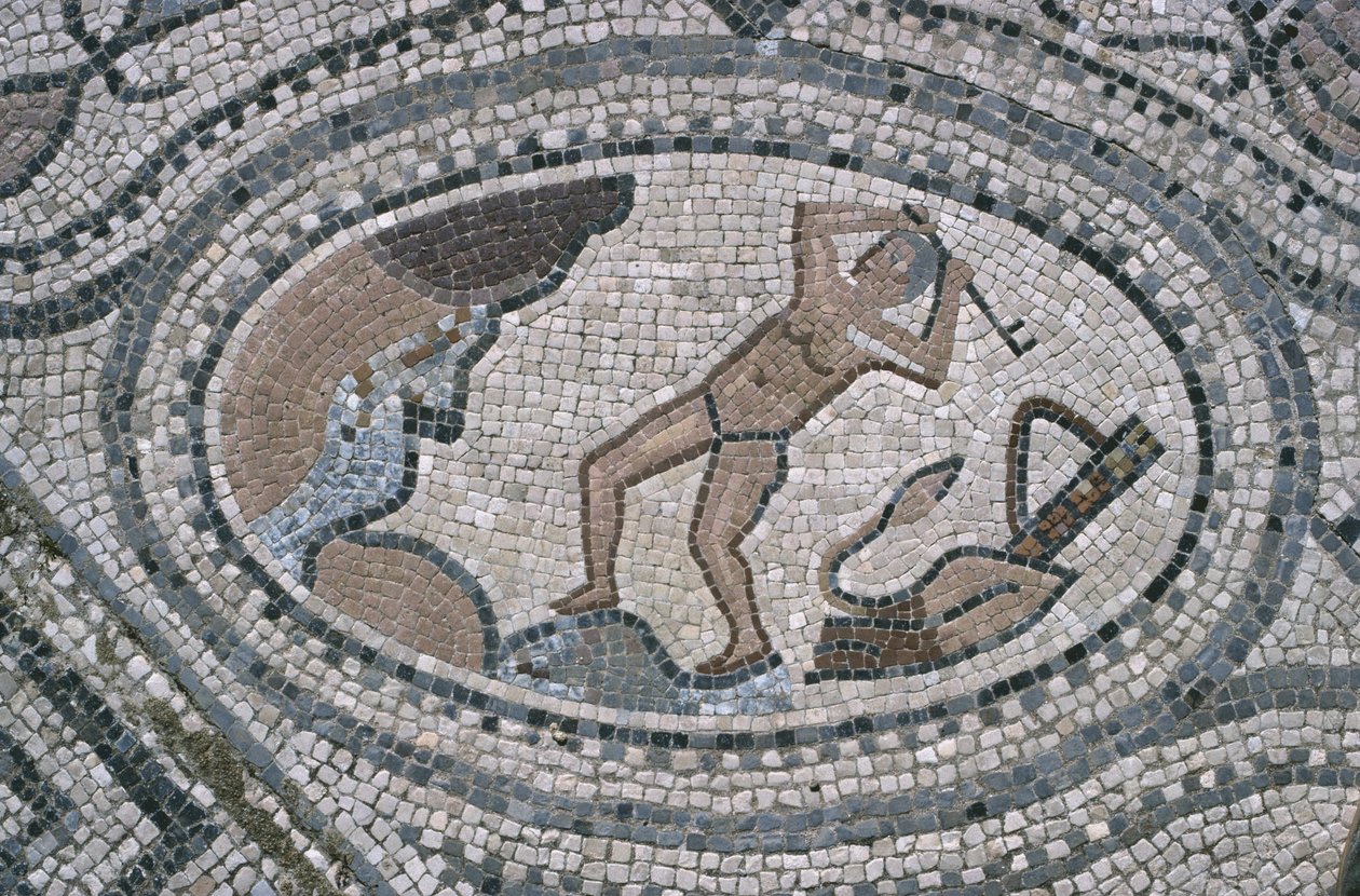 Hércules e os estábulos de Augean, do chão da "Casa de Hércules" (mosaico) de Roman