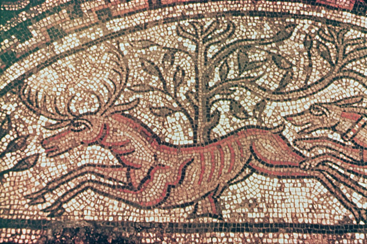 Hinton St. Mary pavimento (detalhe) c.350 AD (mosaico) de Roman