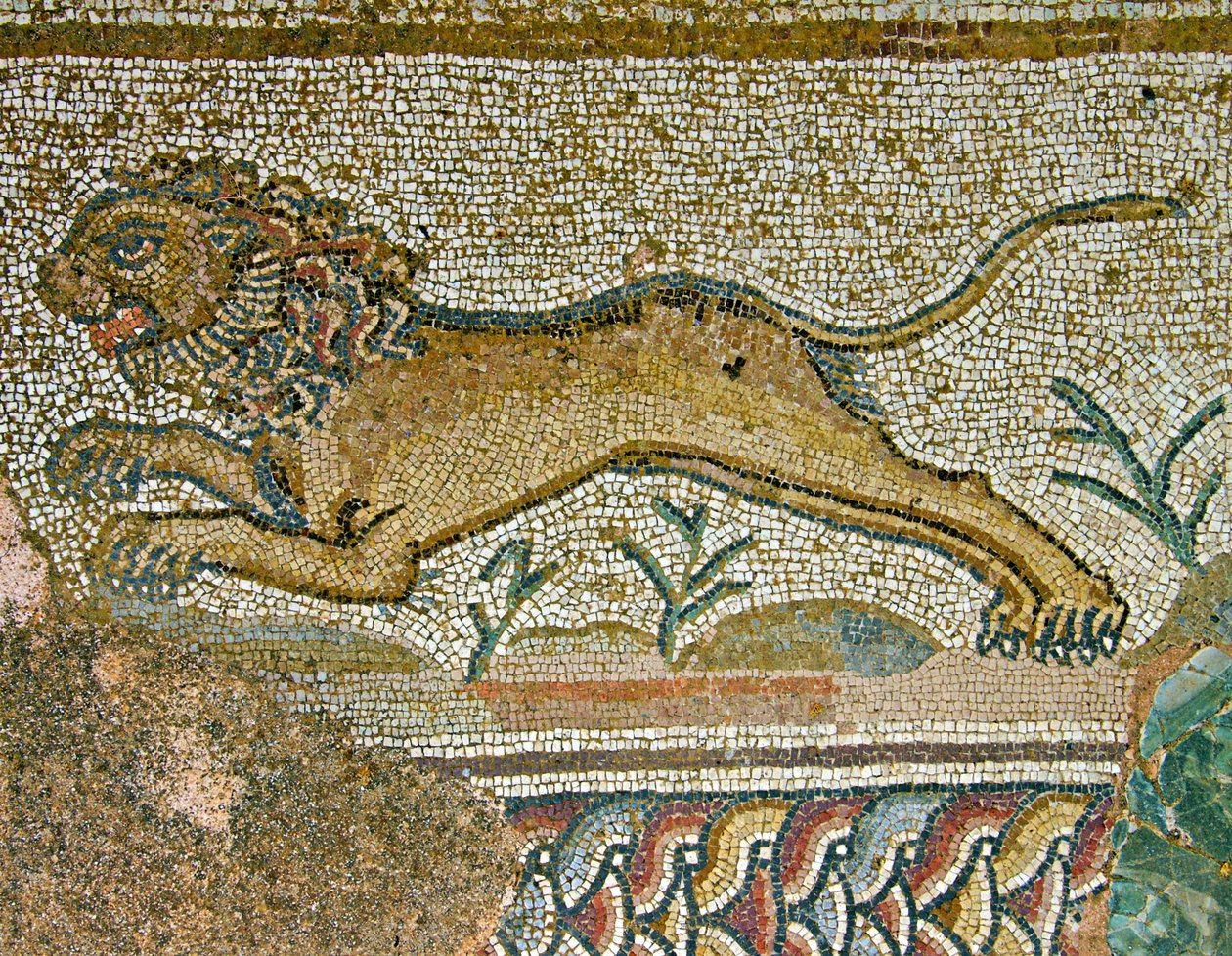Cena caça, detalhe, de, um, leão, casa, de, dionysos, paphos, chipre, mosaico de Roman