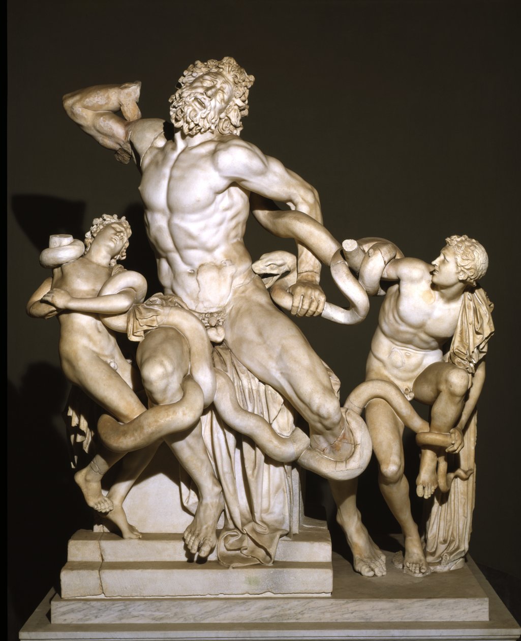 Laocoön e Seus Filhos (mármore) de Roman