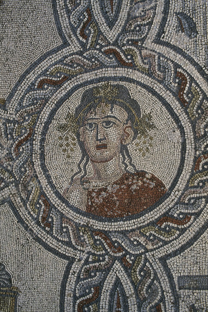 Mosaico das Quatro Estações, Casa de Dionísio, detalhe, cabeça (mosaico) de Roman