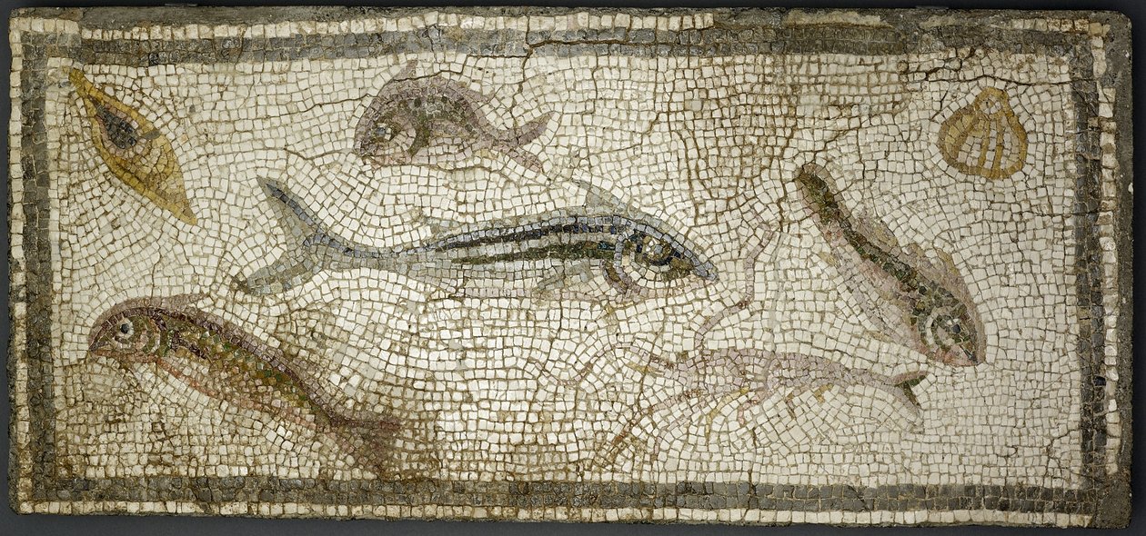 Painel de mosaico mostrando peixes, provavelmente do século III dC de Roman